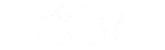 Channel partner